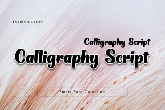 Download Calligraphy Script - Script Collection