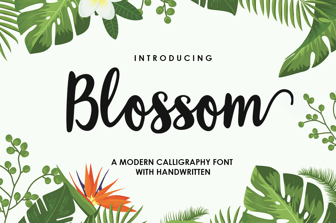 Download Blossom Script Font&nbsp; - Script Collection